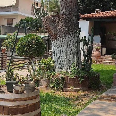 Alice House 1 Apartment Amarynthos Bagian luar foto