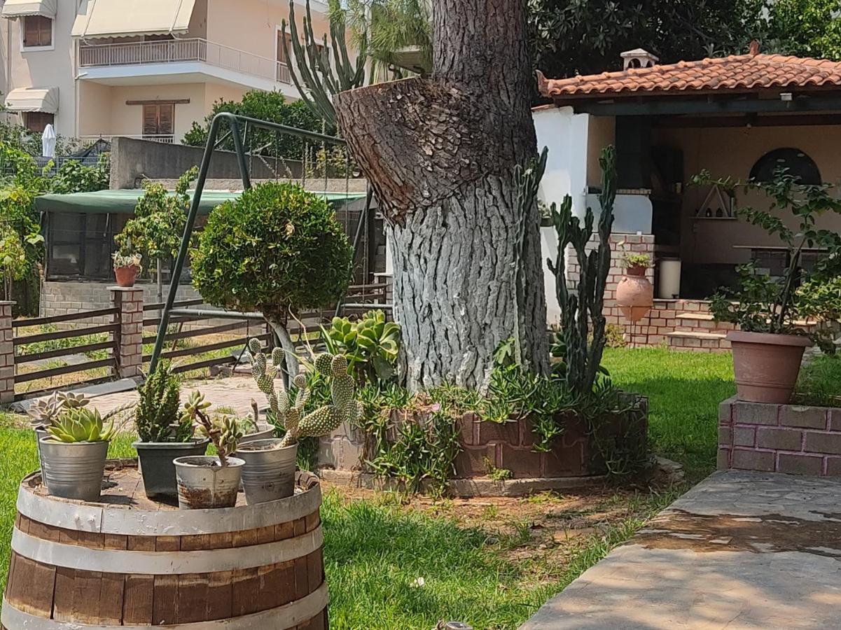 Alice House 1 Apartment Amarynthos Bagian luar foto