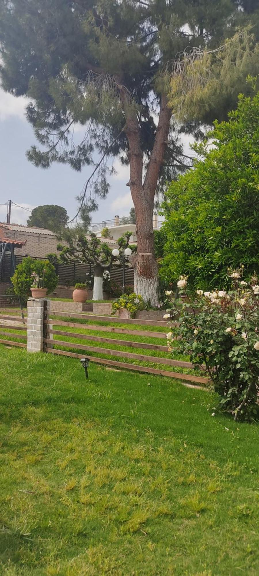 Alice House 1 Apartment Amarynthos Bagian luar foto